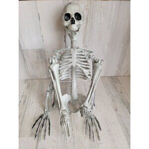 Skeleton prop bone hanging Halloween home decor skull‎ scary